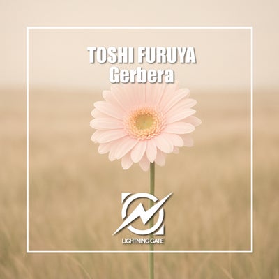 Gerbera