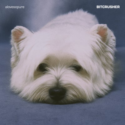 BITCRUSHER