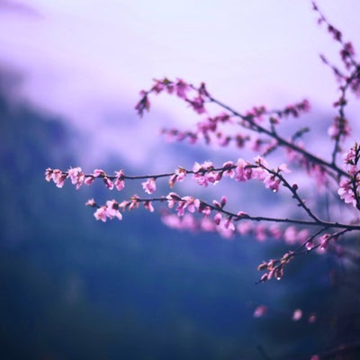 A Moment Unfolding