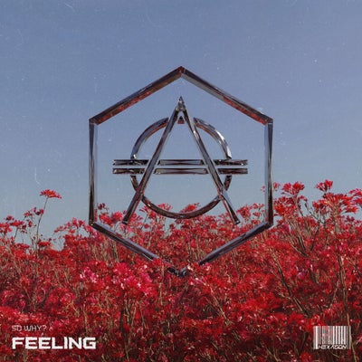 Feeling - Extended Mix