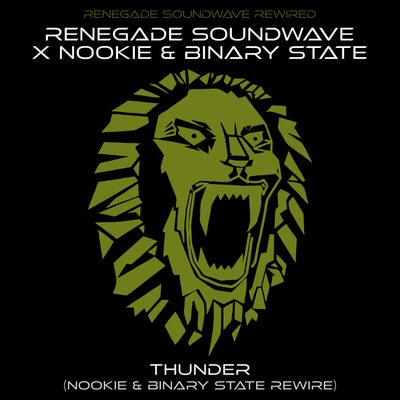 Thunder (Nookie & Binary State Rewire Extended)