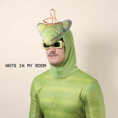 Ants In My Room