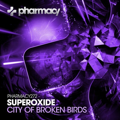 City Of Broken Birds