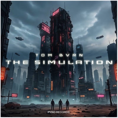 The Simulation (Mixes)