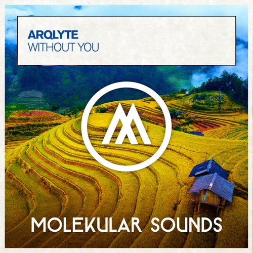 Arqlyte - Without You (Extended Mix) [2025]
