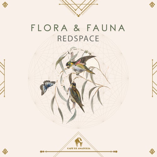 Redspace - Flora.mp3