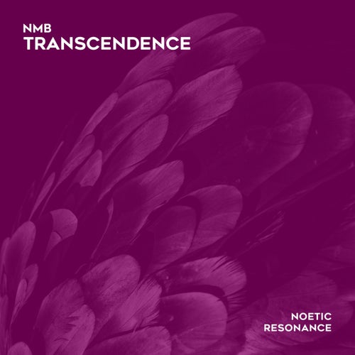 Transcendence