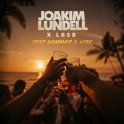 Fest, Sommar & Vibe