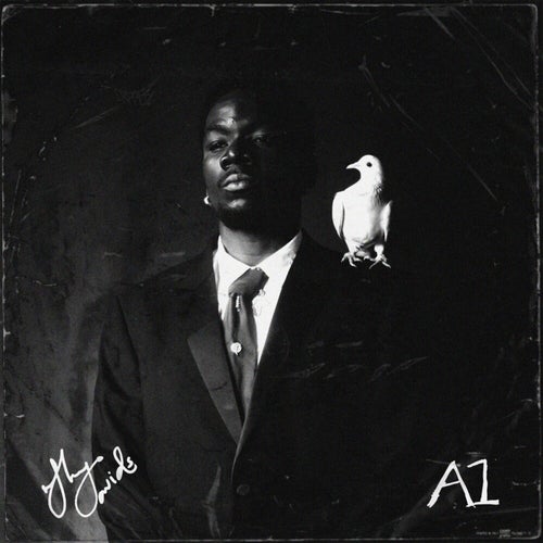A1