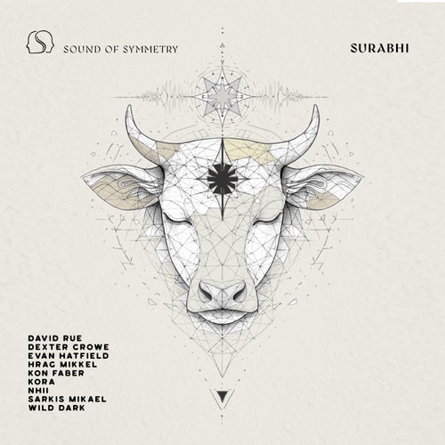 Surabhi SS002 FLAC - Sound of Symmetry (Organic House,Melodic House & Techno,Progressive House,Indie Dance) Album Cover
