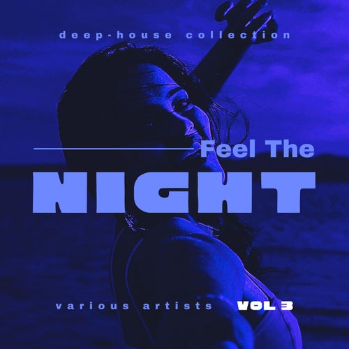 Cover art for Feel The Night (Deep-House Collection), Vol. 3