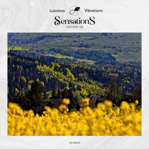 Sensations, Vol. 08
