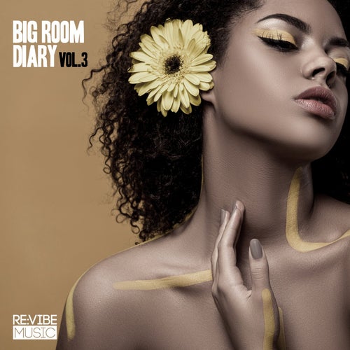 Big Room Diary, Vol. 3