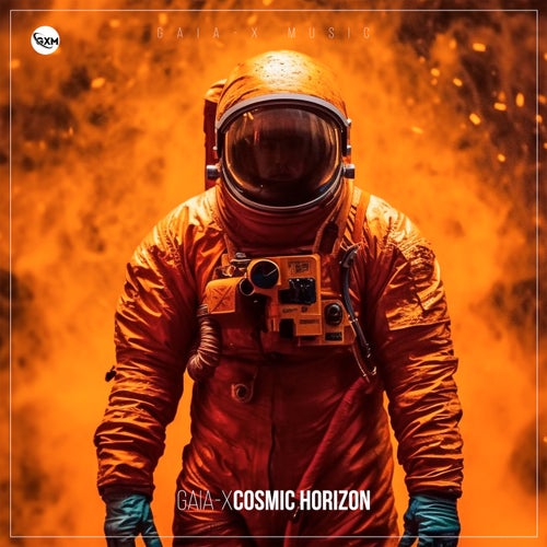 Cosmic Horizon