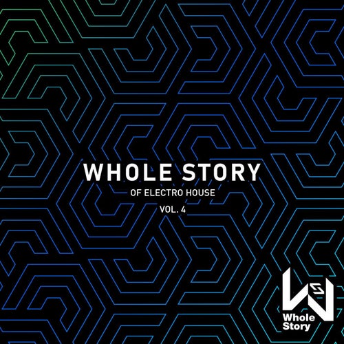 Whole Story Of Electro House Vol. 4