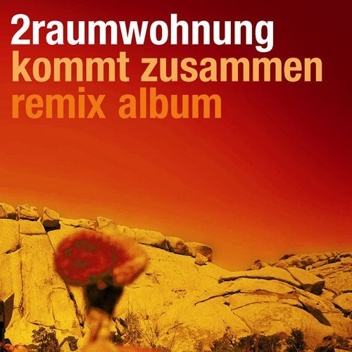 Kommt zusammen - Remix Album