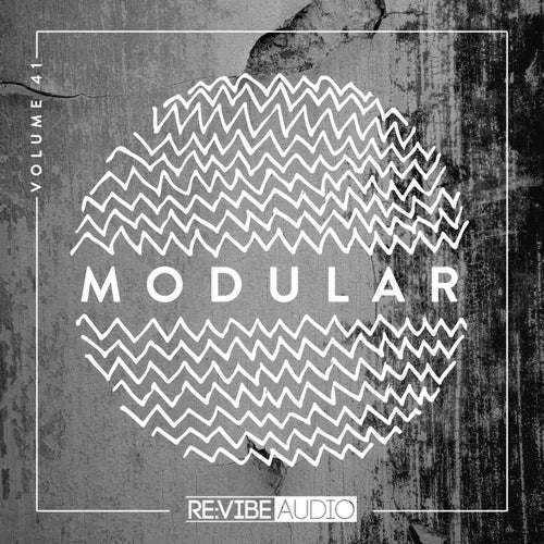 Modular, Vol. 41
