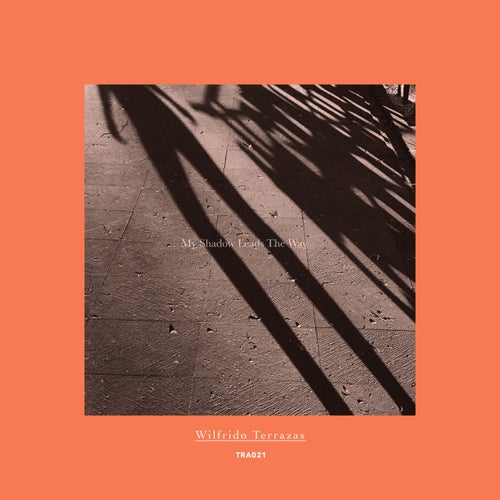 Cover art for My Shadow Leads The Way