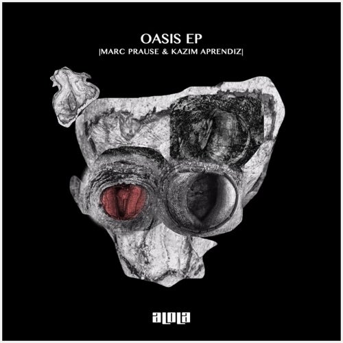 Kazim Aprendiz - Oasis Charts
