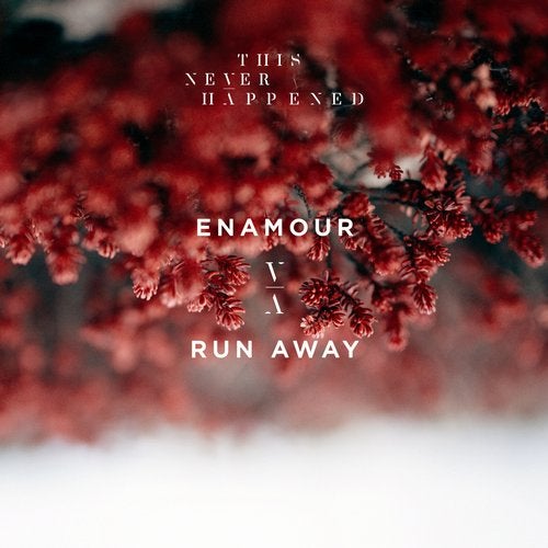 Cover art for Run Away