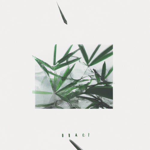 Cover art for Luma