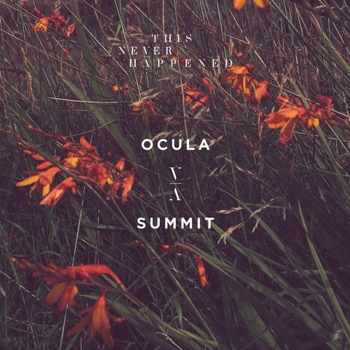 Cover art for Summit