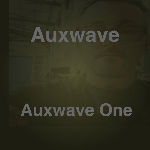 Auxwave One