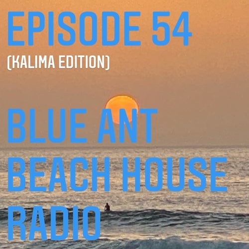 #54 BlueAnt Beach House Radio (KALIMA)