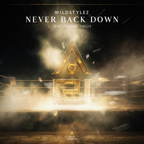 Never Back Down (feat. Amanda Collis)