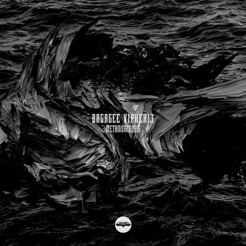 Cover art for Metamorphosis