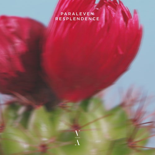 Resplendence