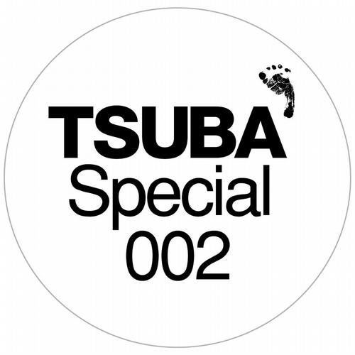 Tsuba Special 002