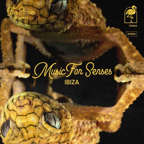 Music for Senses - IBIZA 2024 [For Senses Records]