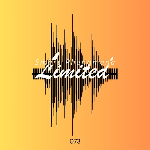 Cover art for Indian Soul, Pt. II