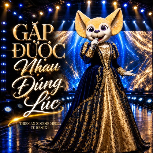 Gặp Được Nhau Đúng Lúc (Tú Remix)