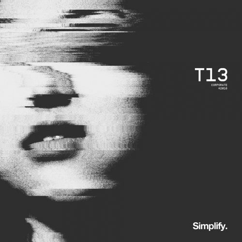 T13