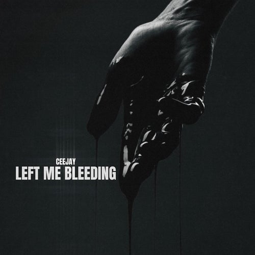Cover art for Left Me Bleeding
