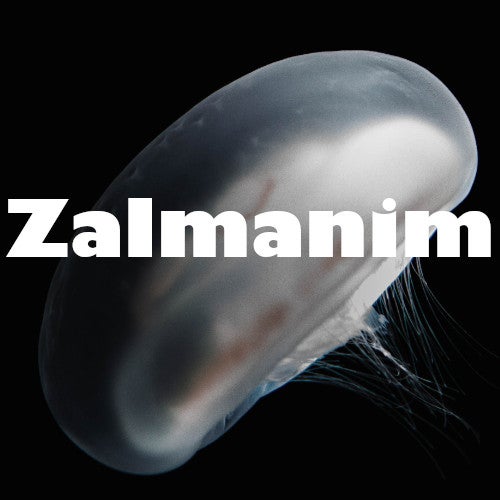 Zalmanim Records