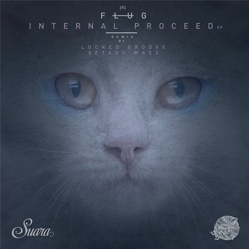 Cover art for Internal Proceed EP