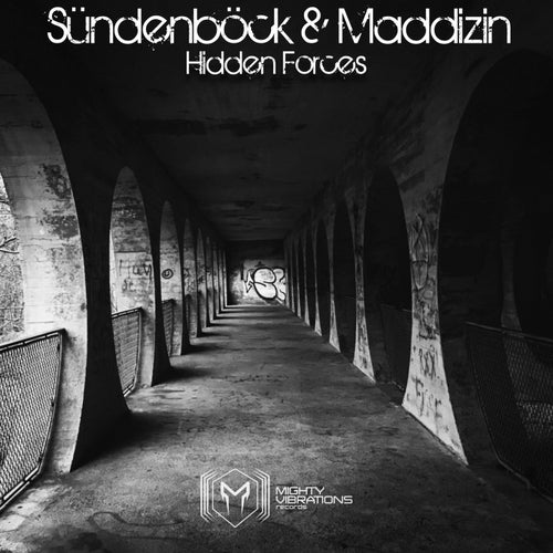 Cover art for Hidden Forces