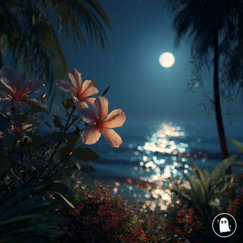 Night Bloom