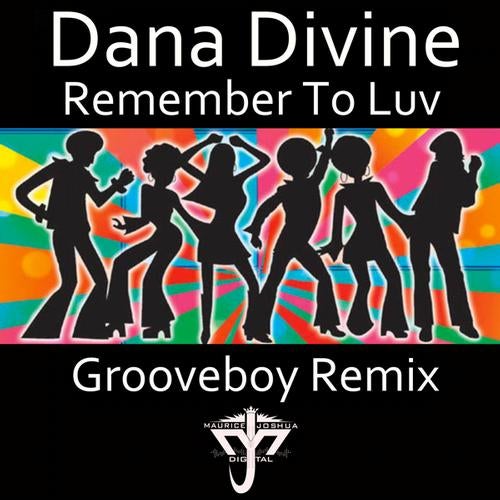 Remember To Luv (incl Grooveboy Remix)