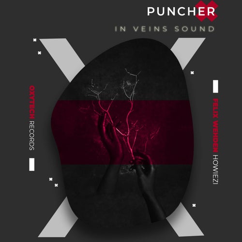 In Veins Sound