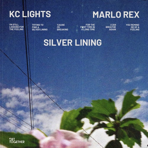 Silver Lining (feat. Marlo Rex) (Extended Mix)