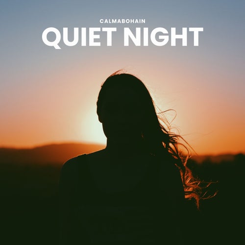 Quiet Night