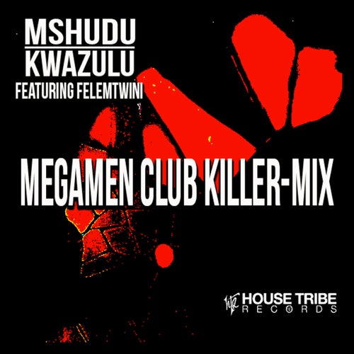 Kwazulu (Megamen Club Killer-Mix)
