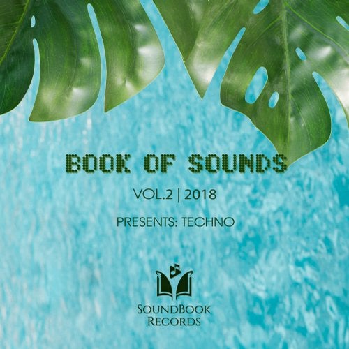 Cover art for BOOK OF SOUNDS, VOL.2