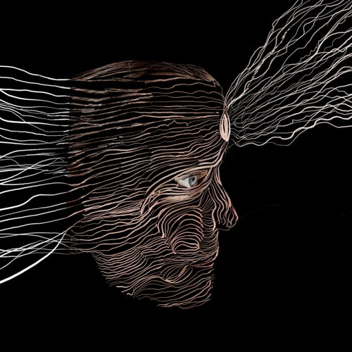 Neural Network
