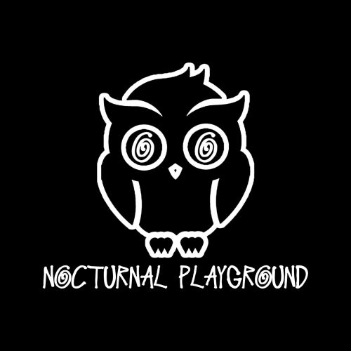 Nocturnal Playground