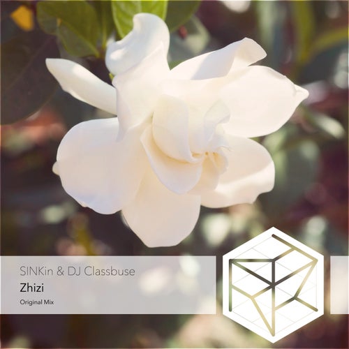 Zhizi